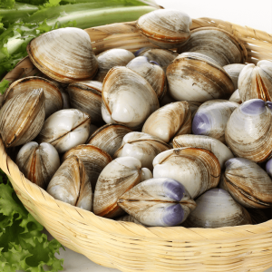 Hard Shell Clams (Whole Cooked)