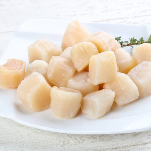 raw scallops